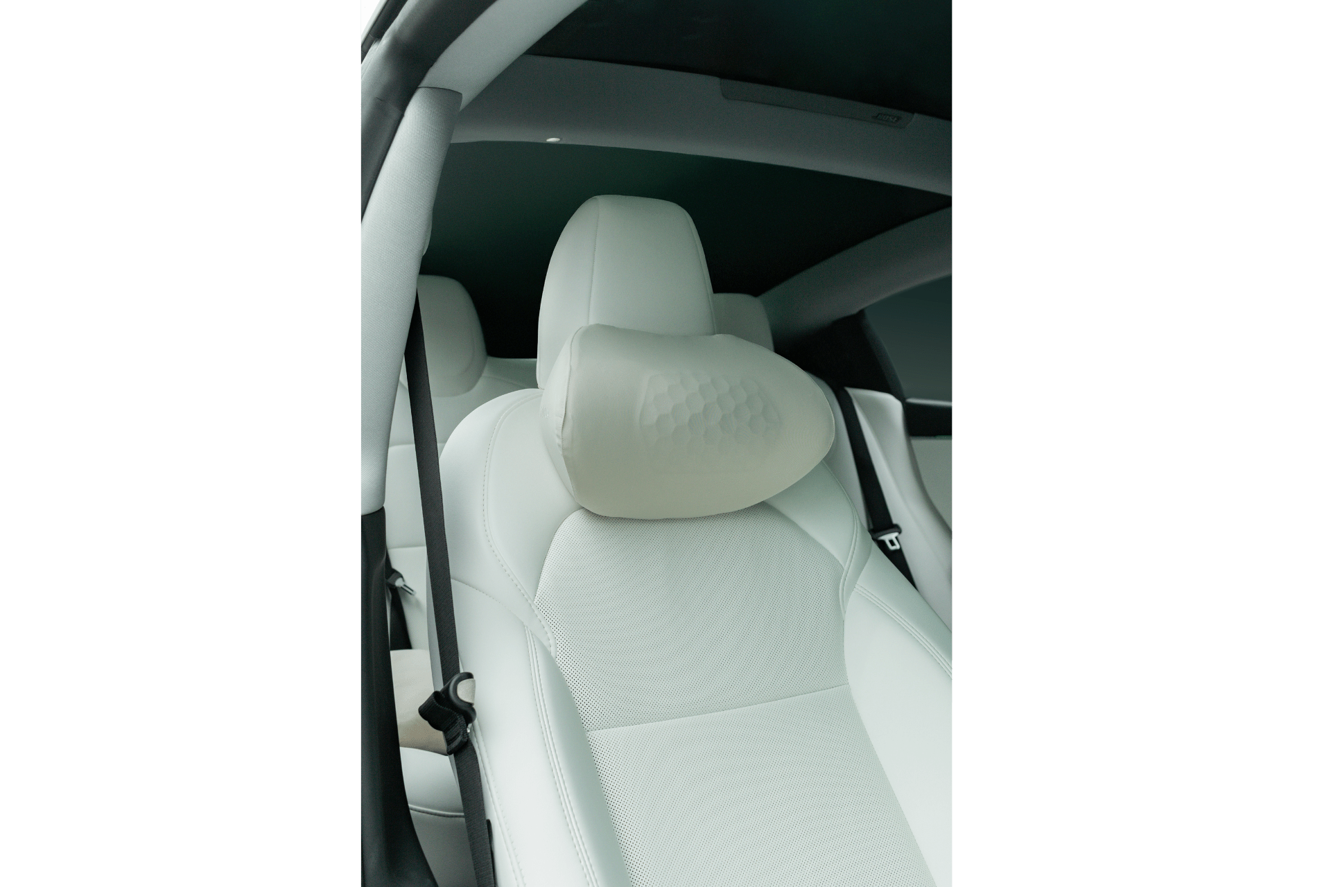Tesla Neck Pillow